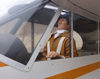 Ernie Pilot in SUper Cub